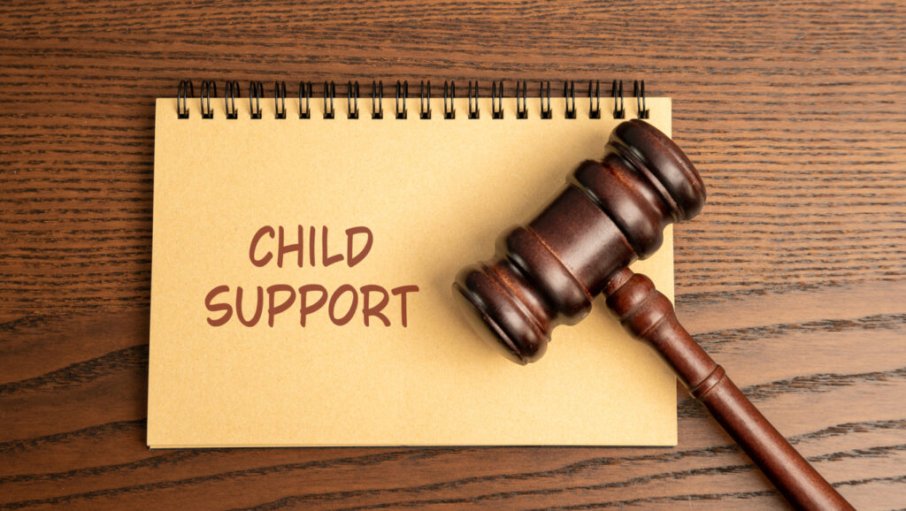 Consultation with Experienced Child Support Attorneys in Orange County